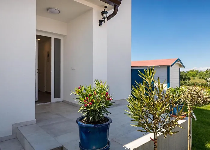 Дом отдыха Camelia *