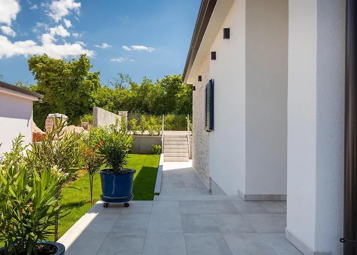 Camelia * Πόρετς