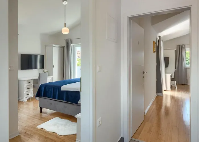 Camelia * Πόρετς