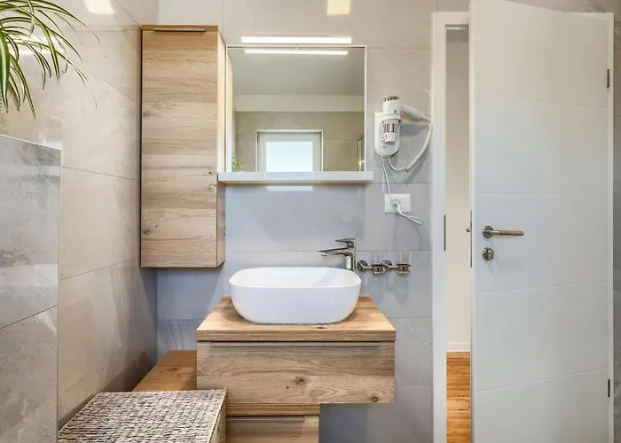 Camelia Πόρετς